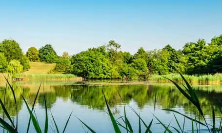 Commercial Cleaning Swindon